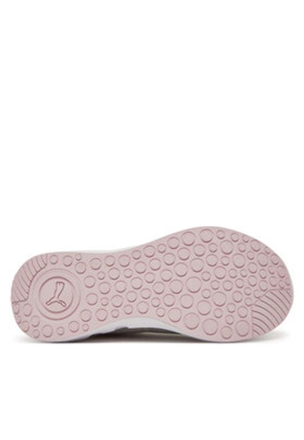 Puma Buty do biegania Softride Carson 310154 14 Szary. Kolor: szary. Materiał: materiał