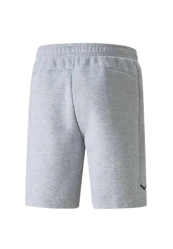 Puma - Shorty Męskie Logo. Kolor: szary. Sport: turystyka piesza