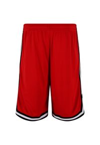 Urban Classics - Shorty Męskie Siatka Paski. Kolor: czarny, biały, różowy, wielokolorowy. Wzór: paski. Sport: turystyka piesza #1