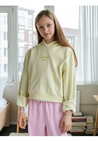 Sinsay - Bluza z haftem - zielony. Kolor: zielony. Wzór: haft #1