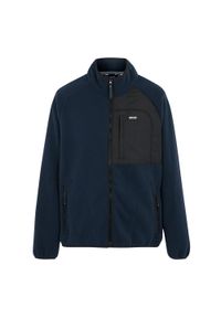 Regatta - Bluza Polarowa Męska Borg Frankie. Kolor: niebieski. Materiał: polar. Sezon: zima. Styl: sportowy. Sport: turystyka piesza #1