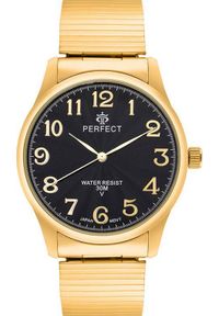 Zegarek Perfect Zegarek Perfect X421-17 męski rozciągana bransoleta . #1