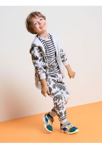 Sinsay - Bluza dresowa z kapturem w dinozaury - szary. Typ kołnierza: kaptur. Kolor: szary. Materiał: dresówka