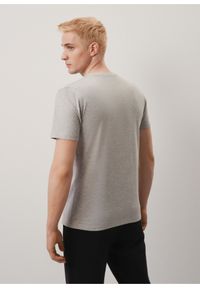 Ochnik - Szary T-shirt męski z logo. Kolor: szary. Materiał: bawełna. Długość: krótkie #3