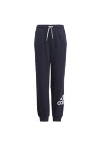 Adidas - Spodnie dziecięce adidas Essentials Big Logo. Kolor: czarny, biały, wielokolorowy. Sport: joga i pilates