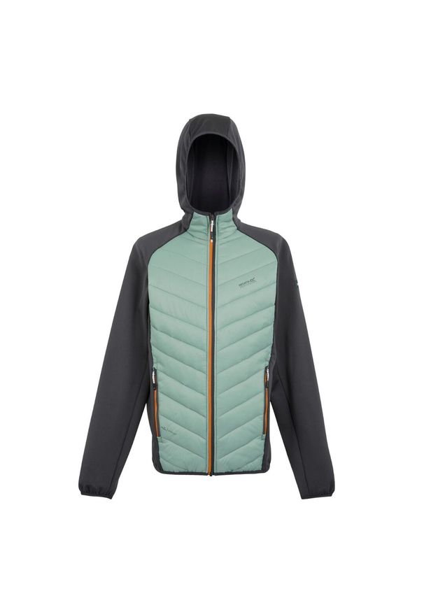 Kurtka trekkingowa męska Regatta Anderson VIII hybrid. Kolor: szary. Materiał: poliamid. Sezon: zima. Sport: narciarstwo