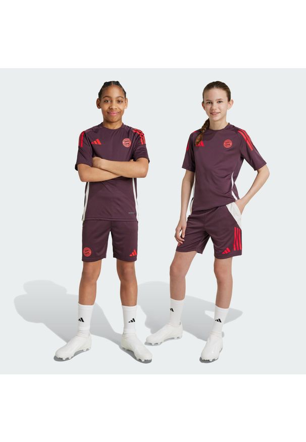 Adidas - Szorty FC Bayern Tiro 24 Training Kids. Kolor: czerwony, fioletowy, wielokolorowy. Materiał: materiał. Sport: piłka nożna