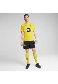 Puma - Męska koszulka treningowa Borussia Dortmund PUMA Faster Yellow Black. Kolor: żółty, wielokolorowy, czarny