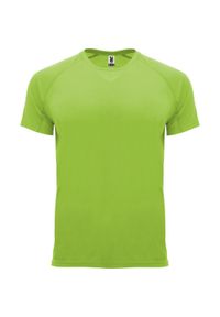 ROLY - Męska Koszulka Sportowa Z Krótkim Rękawem Bahrain. Kolor: szary. Długość rękawa: krótki rękaw. Długość: krótkie. Sport: turystyka piesza #1