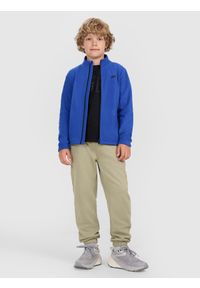 4f - 4F Polar regular ze stójką chłopięcy - niebieski 122 (6-7 lat). Typ kołnierza: kołnierzyk stójkowy. Kolor: niebieski. Materiał: polar. Sezon: lato. Sport: narciarstwo, turystyka piesza, wspinaczka, snowboard #2