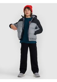 4f - 4F Kurtka puchowa z wypełnieniem syntetycznym chłopięca - szara 164 (13-14 lat). Okazja: na co dzień. Kolor: szary. Materiał: syntetyk, puch. Wzór: gładki. Sezon: lato. Styl: casual, klasyczny #2