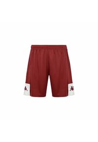 Szorty Kappa Daggo. Kolor: czerwony, biały, wielokolorowy. Materiał: poliester, materiał. Sport: fitness