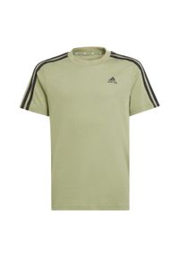 Adidas - Essentials 3-Stripes Cotton Tee. Kolor: zielony, czarny, wielokolorowy