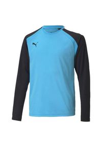 Koszulka bramkarska męska Puma teamPACER GK LS. Kolor: czarny, niebieski, wielokolorowy. Materiał: poliester. Sport: piłka nożna