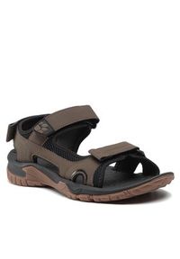 Jack Wolfskin Sandały Lakewood Cruise Sandal M 4019011 Brązowy. Kolor: brązowy. Materiał: skóra #4