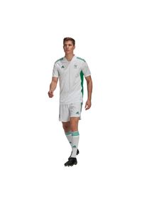 Adidas - Koszulka domowa Algérie 2020/21. Kolor: biały, wielokolorowy, zielony. Materiał: poliester. Sport: piłka nożna #1