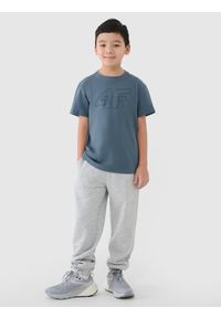 4f - T-shirt oversize z nadrukiem chłopięcy - turkusowy. Okazja: na co dzień. Kolor: turkusowy. Materiał: bawełna, jersey, dzianina. Długość rękawa: krótki rękaw. Długość: krótkie. Wzór: nadruk. Styl: sportowy, casual, klasyczny