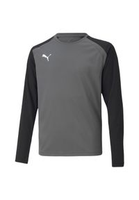 Puma - Koszulka Bramkarska TeamPACER Dla Dzieci/dzieci. Kolor: szary. Sport: turystyka piesza