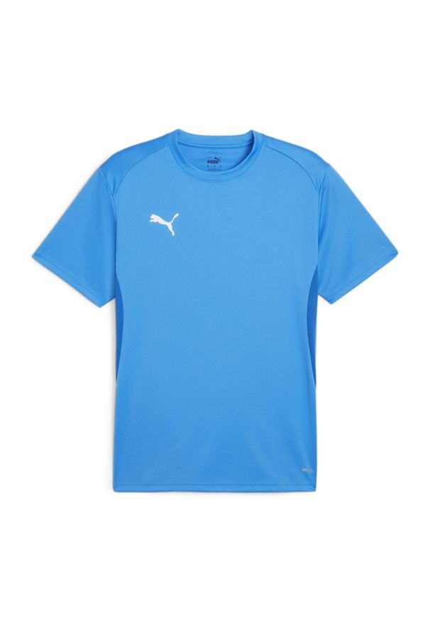 Koszulka męska Puma TeamGoal Jersey. Kolor: niebieski. Materiał: jersey. Sport: fitness
