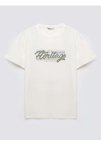 Big-Star - Koszulka męska z nadrukiem biała Keren 100. Okazja: na co dzień. Kolor: biały. Materiał: dzianina, bawełna, jeans, materiał. Wzór: nadruk. Styl: casual, klasyczny, sportowy #3