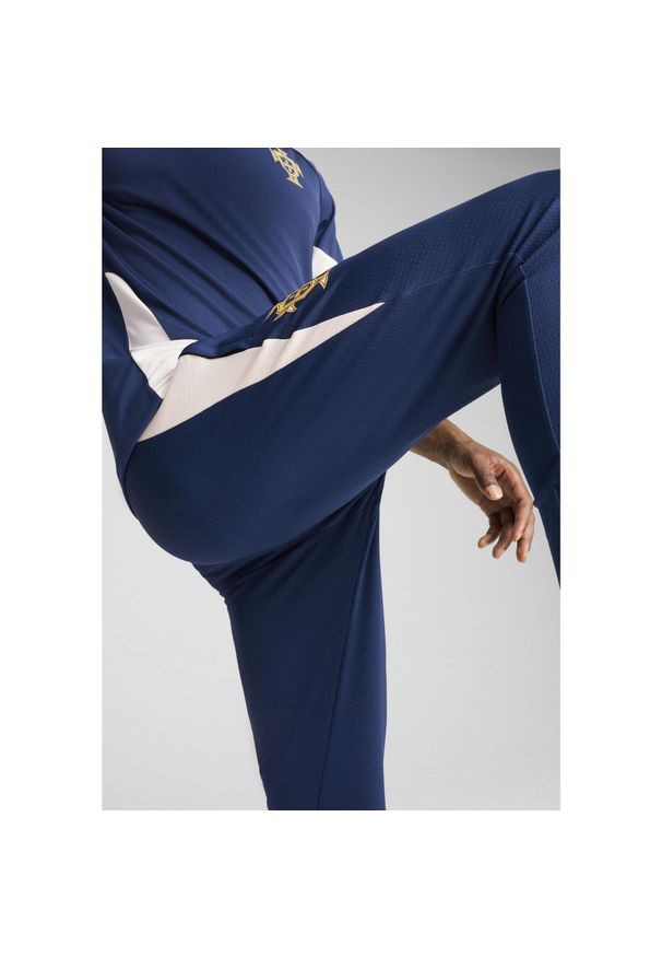 Puma - Męskie spodnie treningowe Portugalia PUMA Persian Blue Sugared Almond Beige. Kolor: wielokolorowy, beżowy, niebieski