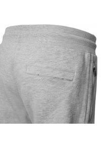 Wygodne i Lekkie Męskie Spodnie Dresowe - Pako Jeans - Popielate. Kolor: szary. Materiał: wiskoza, bawełna. Styl: sportowy #5