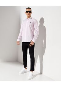 Philipp Plein - PHILIPP PLEIN - Jasnoróżowa koszula Sugar Daddy. Kolor: fioletowy, wielokolorowy, różowy. Materiał: bawełna. Wzór: nadruk