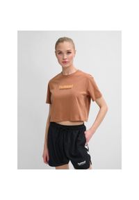 Damska koszulka crop top Hummel LGC Malu. Kolor: brązowy. Materiał: jersey, tkanina. Sport: fitness #1