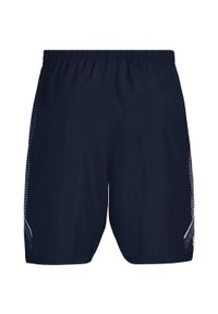 Under Armour - Męskie Szorty Z Grafiką. Kolor: niebieski. Sport: turystyka piesza
