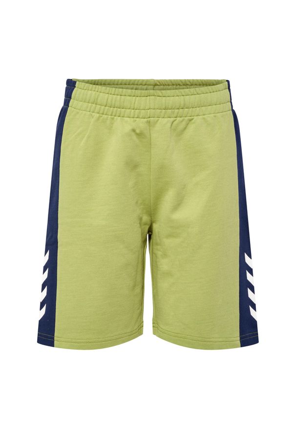 Szorty dziecięce Hummel Rush Block. Okazja: na uczelnię. Kolor: zielony. Styl: sportowy. Sport: joga i pilates