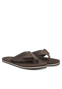 Calvin Klein Japonki Logo Webbing Strap HM0HM02106 Brązowy. Kolor: brązowy. Materiał: materiał #3