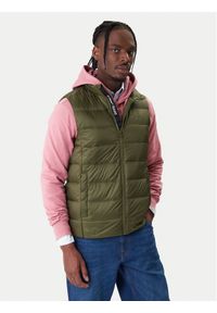 Tommy Jeans Kamizelka DM0DM20663 Zielony Regular Fit. Kolor: zielony. Materiał: syntetyk #1
