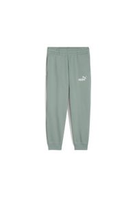 Dziecięcy strój do biegania Puma No. 1 PS. Kolor: zielony. Materiał: dresówka