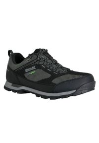 Buty trekkingowe męskie Regatta Blackthorn Evo Low wodoodporne. Kolor: szary