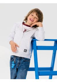 Sinsay - Bluza z kapturem - szary. Typ kołnierza: kaptur. Kolor: szary