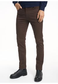 Ochnik - Brązowe spodnie męskie. Kolor: brązowy. Materiał: bawełna