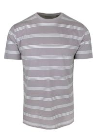 Męski T-Shirt (Koszulka) - Brave Soul - Beżowo-Fioletowa w Paski. Okazja: na co dzień. Kolor: wielokolorowy, beżowy, fioletowy. Materiał: bawełna. Wzór: paski, prążki. Sezon: lato, wiosna. Styl: casual #1