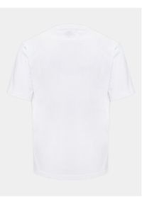 Dickies T-Shirt Aitkin DK0A4X9F Biały Regular Fit. Kolor: biały. Materiał: bawełna