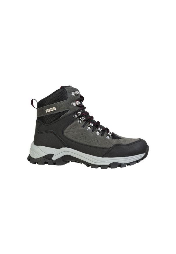 Buty trekkingowe damskie Whistler Detion WP. Kolor: wielokolorowy, czarny, szary