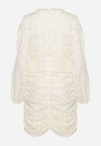 Born2be - Jasnobeżowa Koronkowa Sukienka z Marszczeniem i Falbankami z Półprzezroczystymi Rękawami Zialda. Okazja: na co dzień, na spotkanie biznesowe. Typ kołnierza: kołnierz z falbankami. Kolor: beżowy. Materiał: koronka. Typ sukienki: proste. Styl: biznesowy, klasyczny, casual, elegancki #5