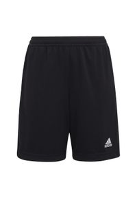 Adidas - Entrada 22 Training Shorts. Kolor: czarny. Materiał: materiał