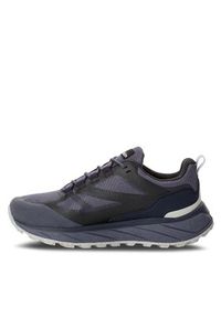 Jack Wolfskin Sneakersy Terraventure Texapore Low W 4051631 Szary. Kolor: szary #4