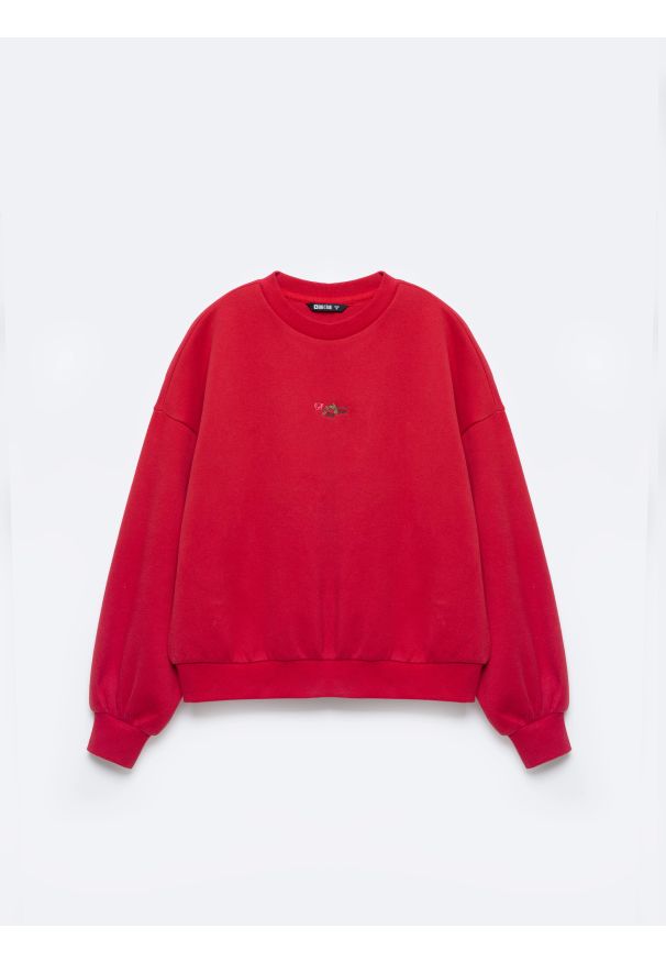 Big-Star - Bluza damska z niewielkim haftem czerwona Marika 603. Kolor: czerwony. Materiał: dzianina, jeans. Wzór: haft