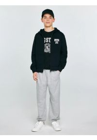 Big-Star - Spodnie chłopięce dresowe szare Polis 901. Okazja: na co dzień, na uczelnię. Kolor: szary. Materiał: dresówka. Wzór: aplikacja. Styl: casual, sportowy #4