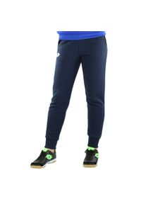 Spodnie dresowe piłkarskie dla dorosłych LOTTO DELTA RIB FL. Kolor: niebieski. Materiał: dresówka. Sport: piłka nożna