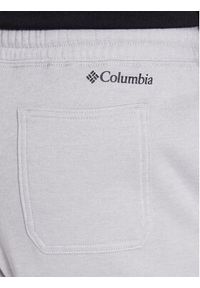 columbia - Columbia Spodnie dresowe M Trek™ Jogger Szary Regular Fit. Kolor: szary. Materiał: syntetyk #4