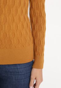 Born2be - Jasnobrązowy Klasyczny Sweter z Tłoczonym Zdobieniem Nainea. Okazja: na co dzień. Kolor: brązowy. Wzór: aplikacja. Styl: klasyczny #5