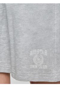 Big-Star - Szorty dziewczęce dresowe szare Anida 901. Okazja: na co dzień. Kolor: szary. Materiał: dresówka. Wzór: nadruk, kolorowy. Styl: casual, klasyczny #5