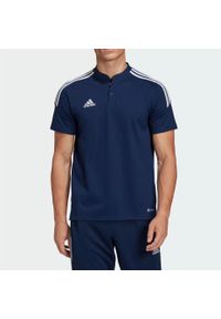 Adidas - Koszulka męska adidas Condivo 22 Polo. Typ kołnierza: polo. Kolor: niebieski, wielokolorowy, biały #1