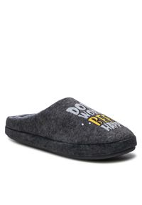 Home & Relax Kapcie 22SWG5701 RO Szary. Kolor: szary. Materiał: materiał #1